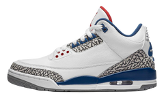 Air Jordan 3 OG "True Blue" IF4396 102