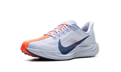 Pegasus Plus WMNS"Ghost/Blue Void/Bright Crimson/Blue Void" FQ7261 005