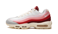 Air Max 95 QS "Anatomy of Air" DM0012 600